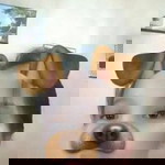 Sunshine Salonga profile icon