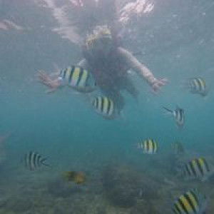 Della Shahadati Yansah profile icon