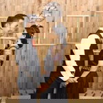 Fourlusty Pasaribu profile icon