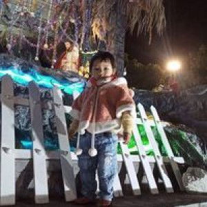 Lệ Vi profile icon