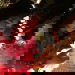 ปิ่นปินัทธ์ น่าชม profile icon