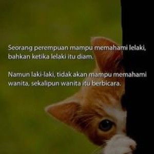 Evi Purwasih Alhavi profile icon