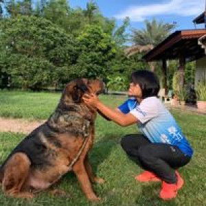 Sunisa Yantarak profile icon