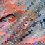 Kantamanee Rubsri profile icon