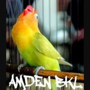 Rahman Kingkers profile icon