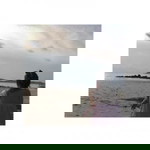 Mickey Ann profile icon