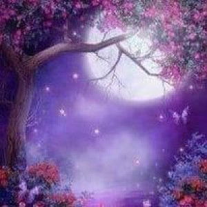 Trúc Võ profile icon