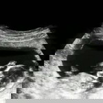 Imot Inggi Orreo Hartanto profile icon