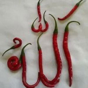 Artin Wwj Sweat profile icon