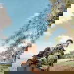 Titin Ofia profile icon