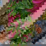 Dian Rahayu profile icon