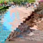 Elma Suarez Aringoy profile icon