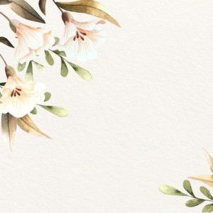 hanna na profile icon