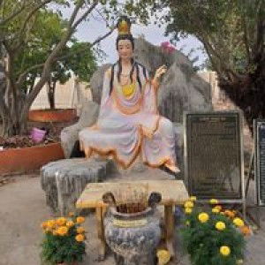 Lâm Văn Trường profile icon