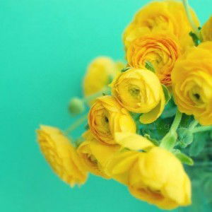 cheesy me profile icon