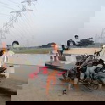 ไม่จำเป็น ต้องจำ profile icon