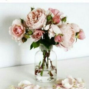 Rahmah Ningsih profile icon