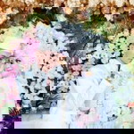 Lelly Meganita Wardani profile icon