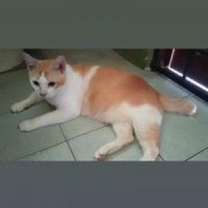 Noorhayati YatiAzrul profile icon