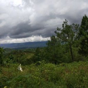 tamba BTE profile icon