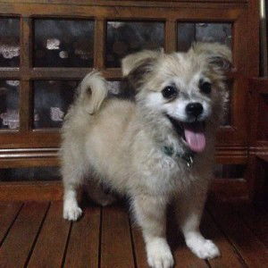 Elma Badiang profile icon