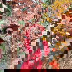 Luckkana Nacksa-ad profile icon