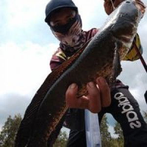 Andre Ars profile icon