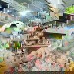 Leni Putri profile icon