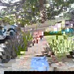 Deah Bayani profile icon