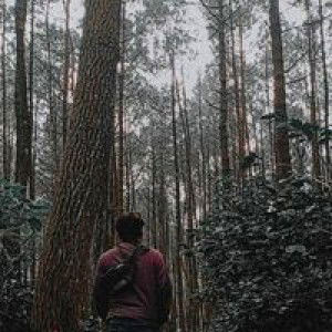 Resna Herawandi profile icon