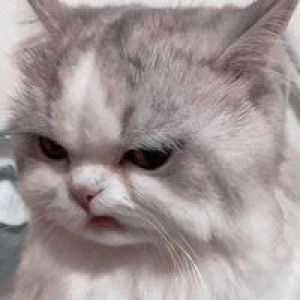 Charinrat Ninla-oo profile icon