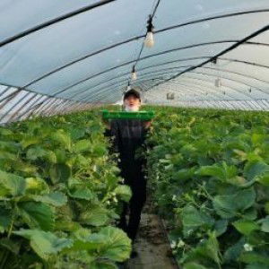 Wilis Indah Purnamasari profile icon