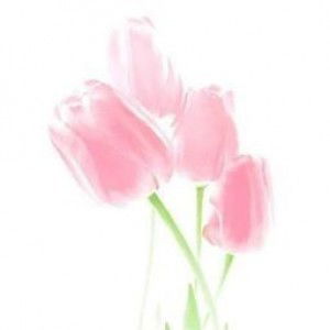 Nisa Nurjana profile icon