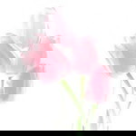 Nisa Nurjana profile icon