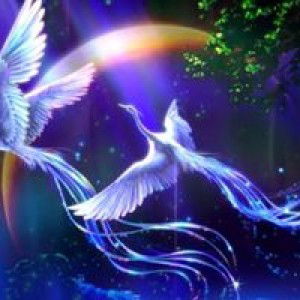 ซ้อ หงส์ฟ้า. profile icon