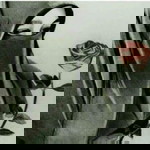 Diah Dwi Ammarwati profile icon