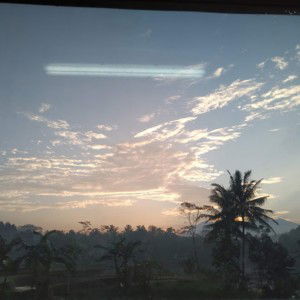 Ajeng Agustina Dewi S. profile icon