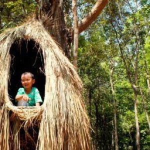 Lisa Agustina profile icon