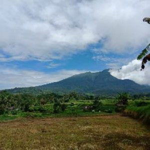 Fitria Avivha profile icon