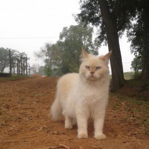 Hartati profile icon