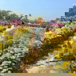 Rattana Pinpanya profile icon