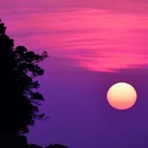 Rita Kamarosah profile icon