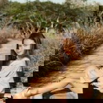 Siranicha Tassanij profile icon