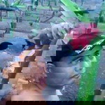 Dee Dee Parayadirawa profile icon