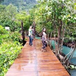 Fong Beer profile icon