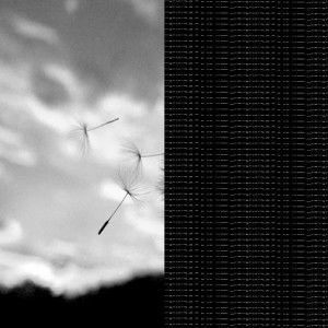 Annisa NIR profile icon