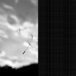 Annisa NIR profile icon