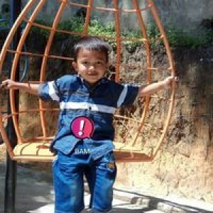 Vinasari Siregar profile icon