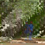 Yeni Solihat profile icon