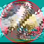 Veloo Sasi profile icon